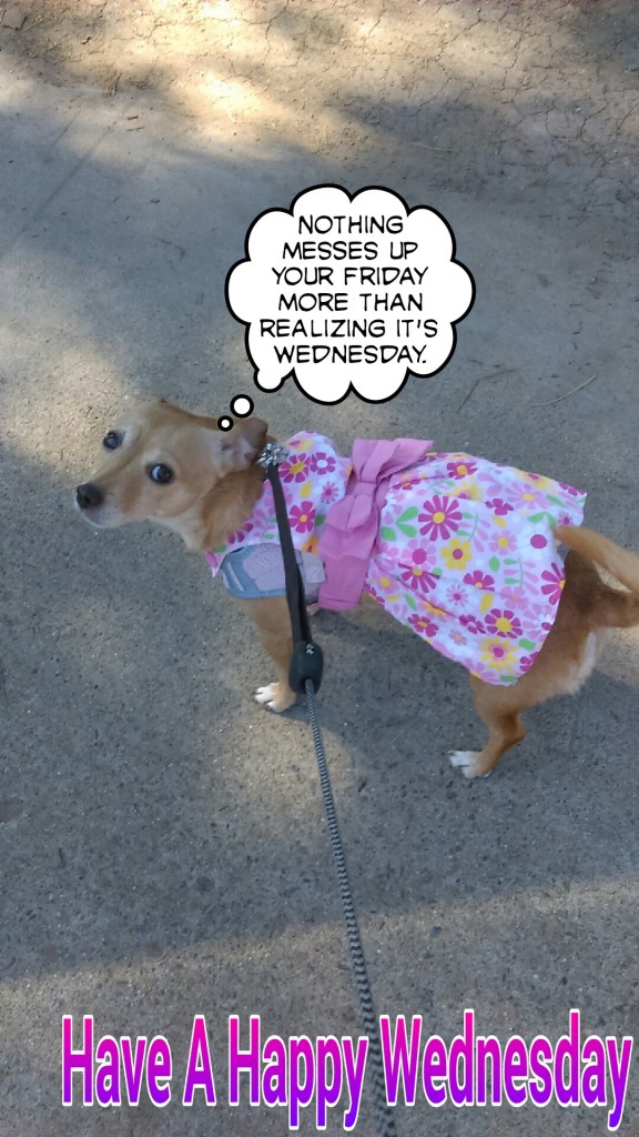 Diamond's Point Of View